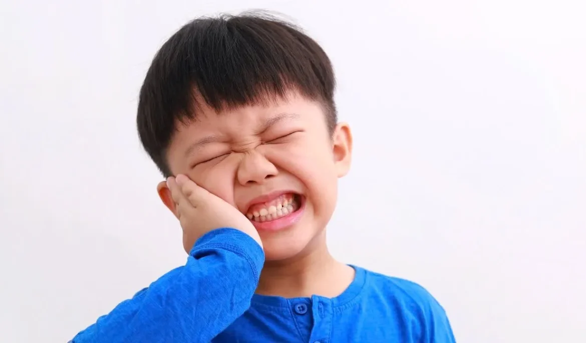 mầm răng